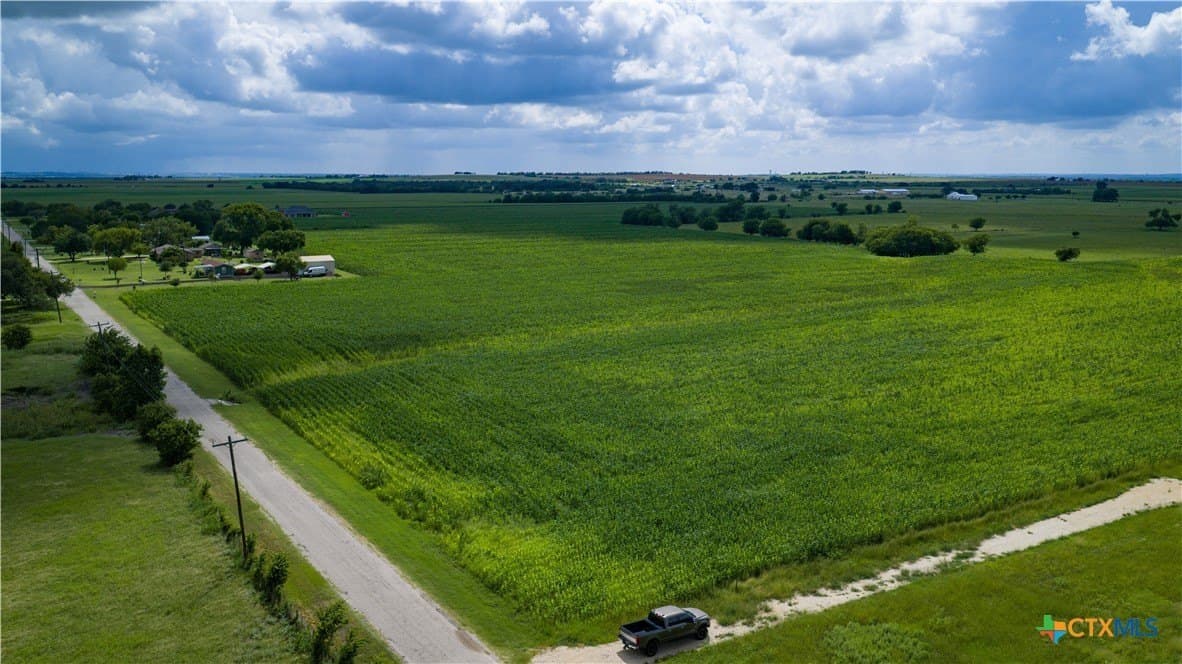 59.5 acres in Guadalupe County - photo 39