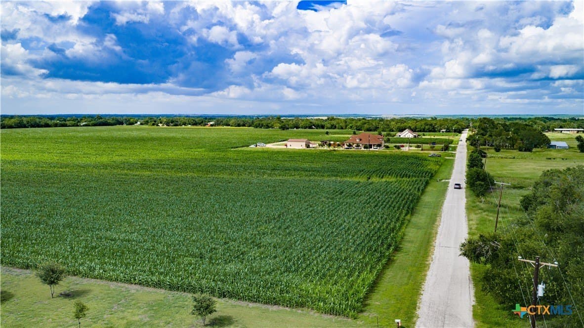 59.5 acres in Guadalupe County gallery image 4