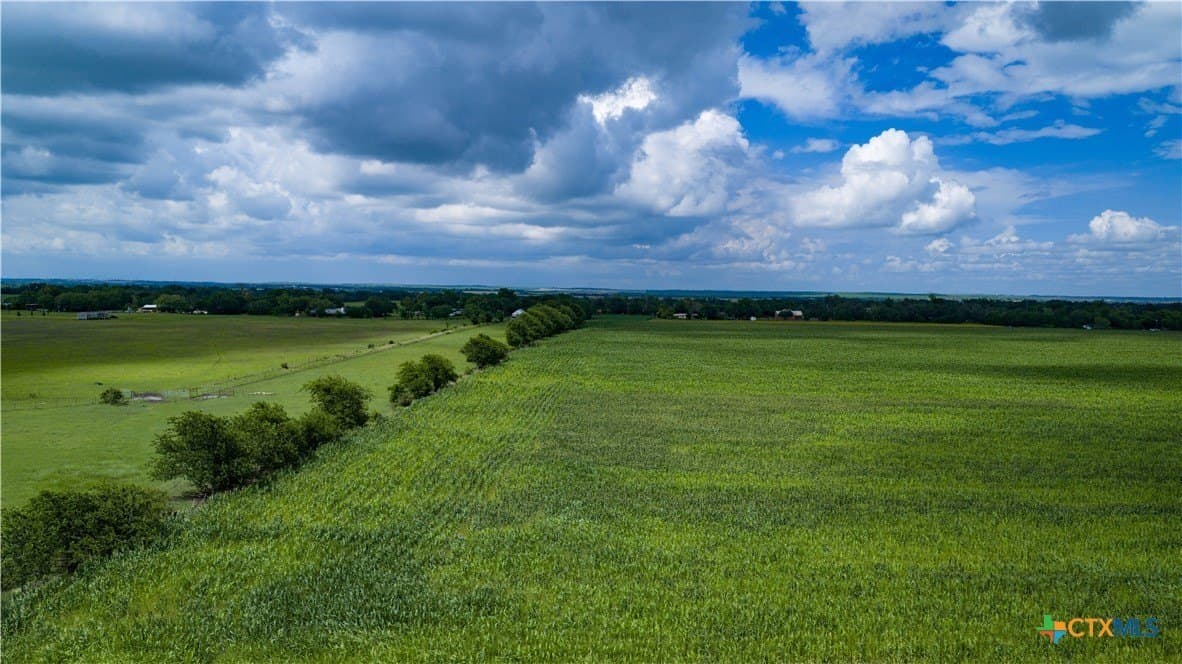 59.5 acres in Guadalupe County - photo 32