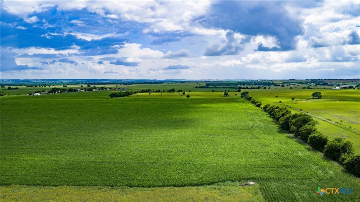 59.5 acres in Guadalupe County - photo 13