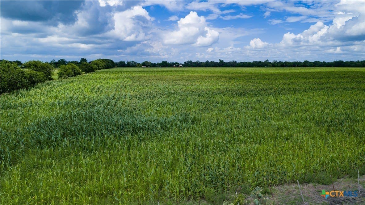 59.5 acres in Guadalupe County - photo 33