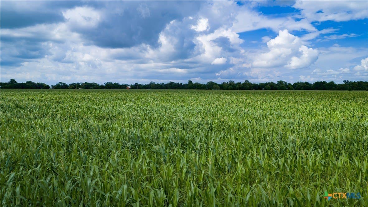 59.5 acres in Guadalupe County - photo 35