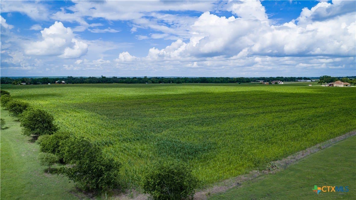 59.5 acres in Guadalupe County - photo 34