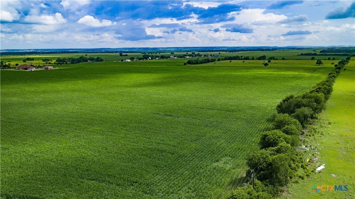 59.5 acres in Guadalupe County - photo 18