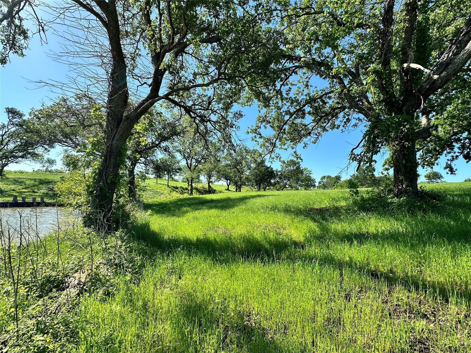 1.38 acres in Navarro County - photo 11