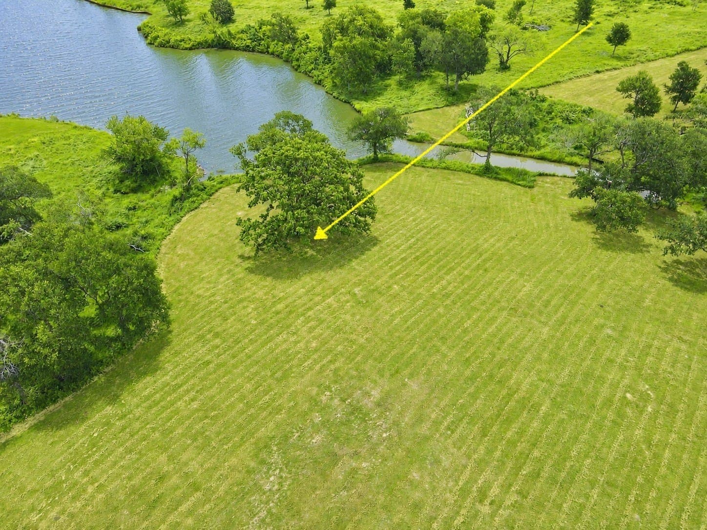 1.38 acres in Navarro County - photo 24