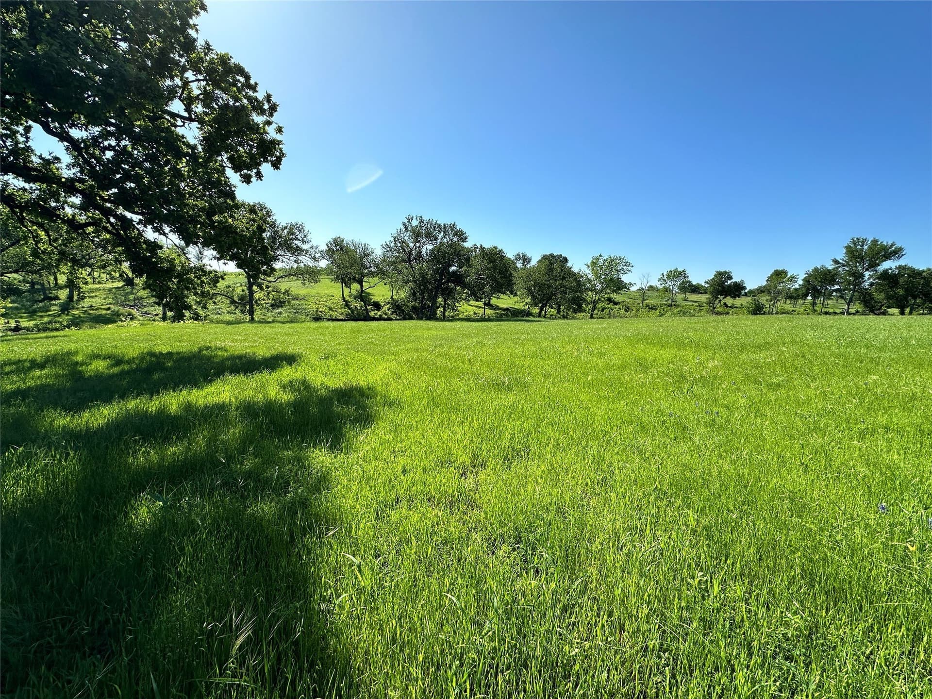 1.38 acres in Navarro County - photo 33