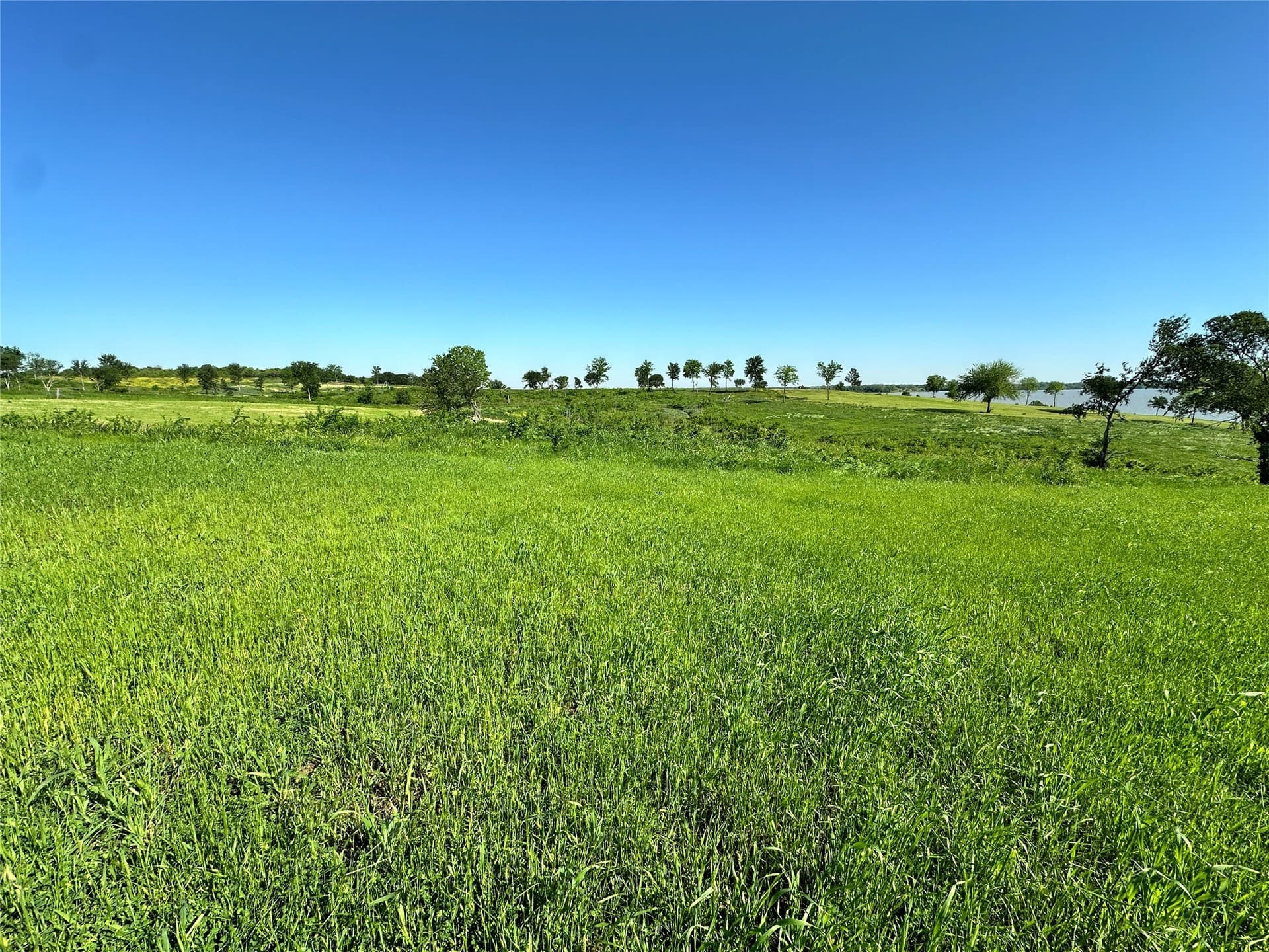 1.38 acres in Navarro County - photo 29