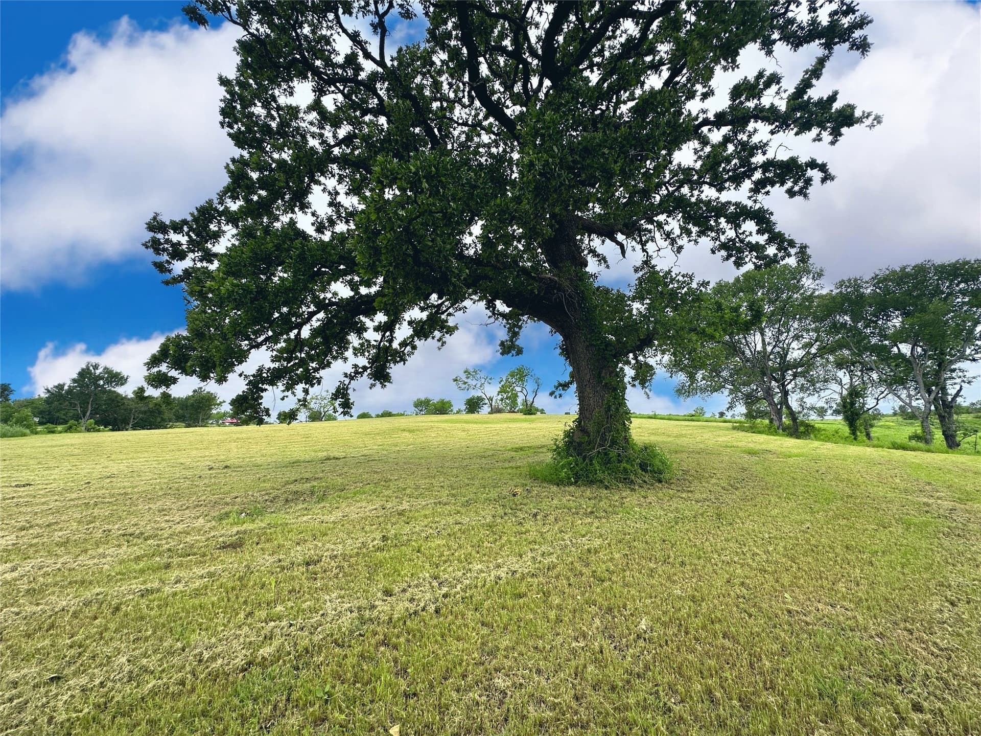 1.38 acres in Navarro County - photo 26