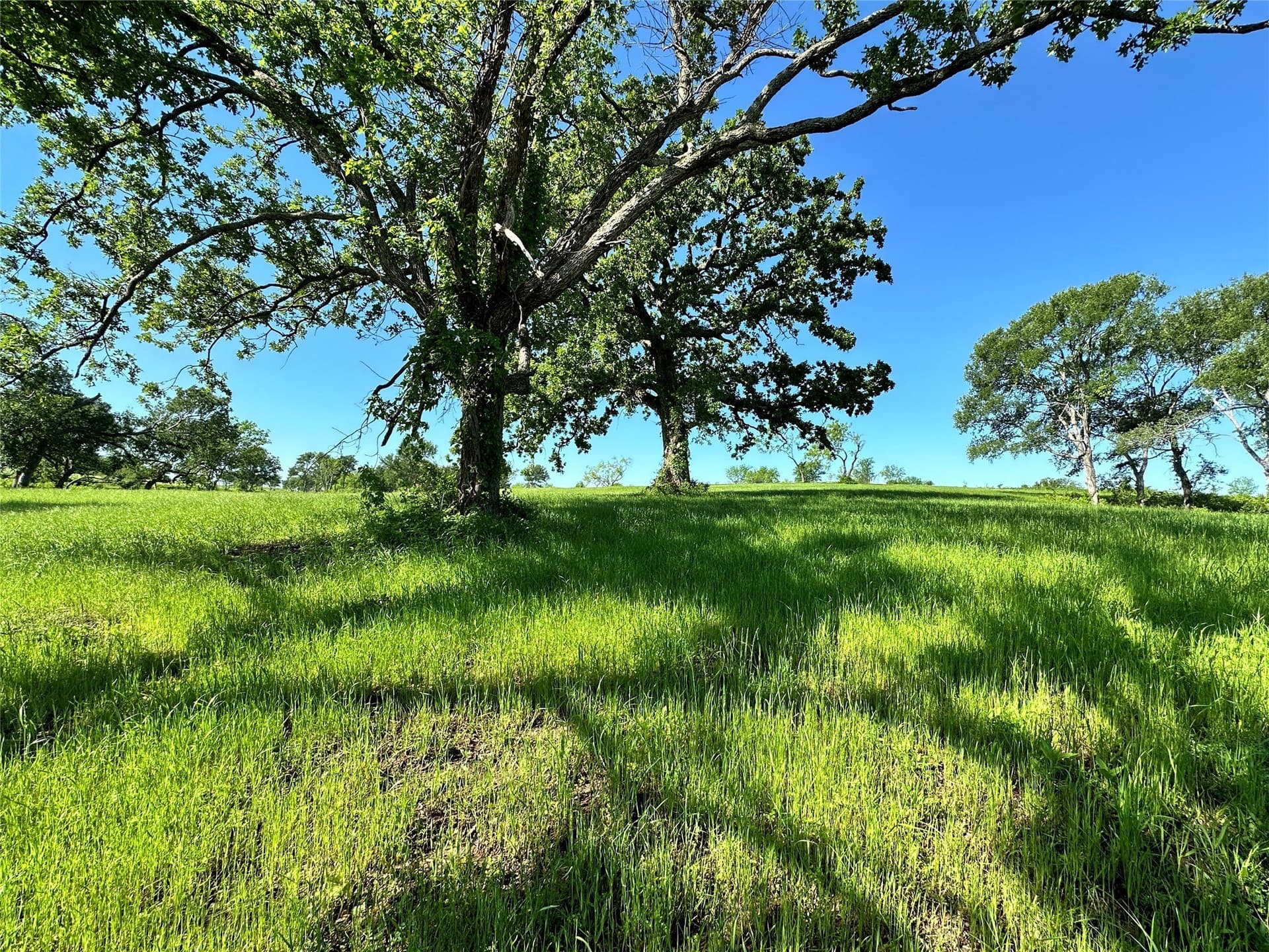 1.38 acres in Navarro County - photo 10