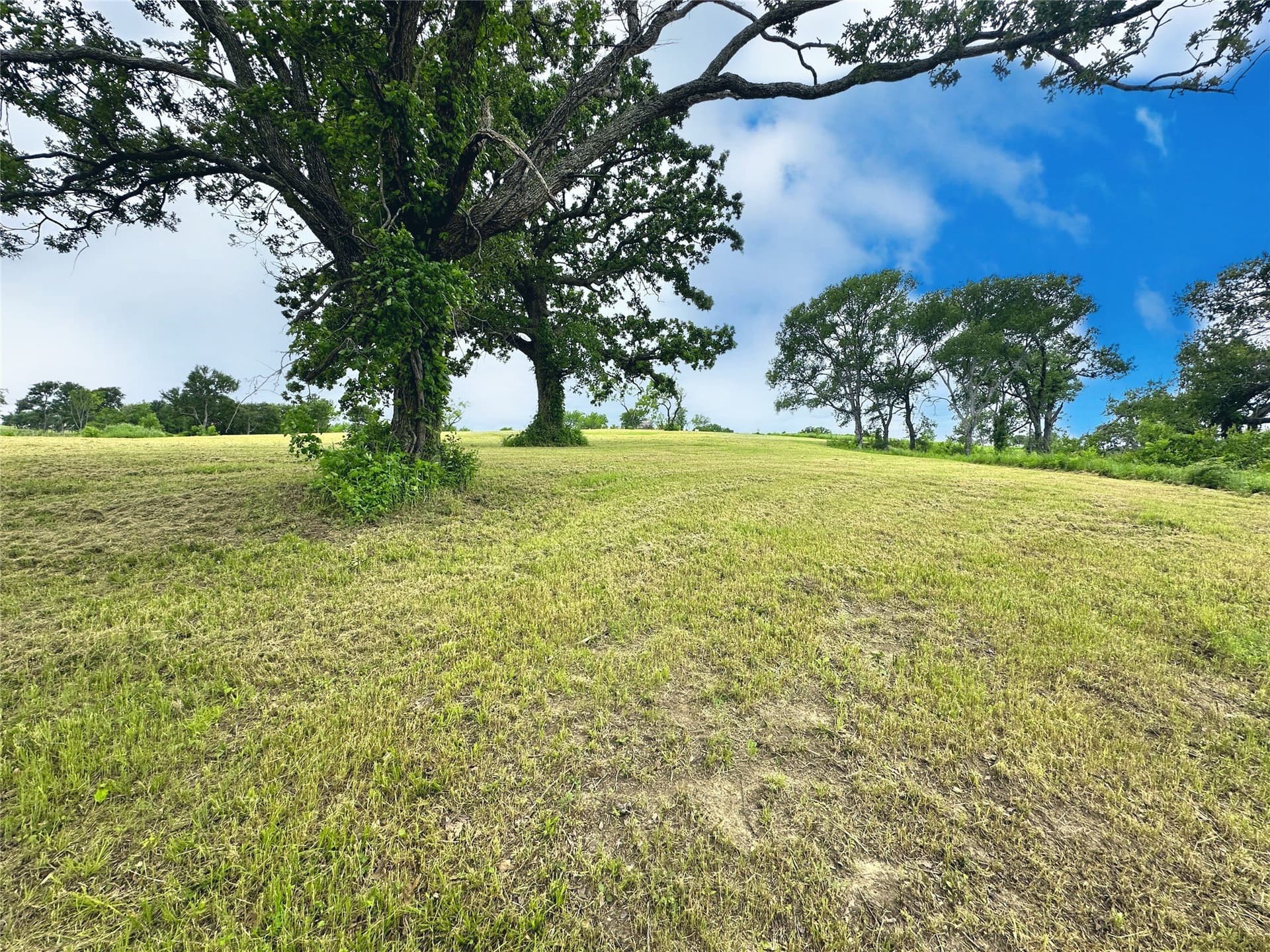 1.38 acres in Navarro County - photo 14