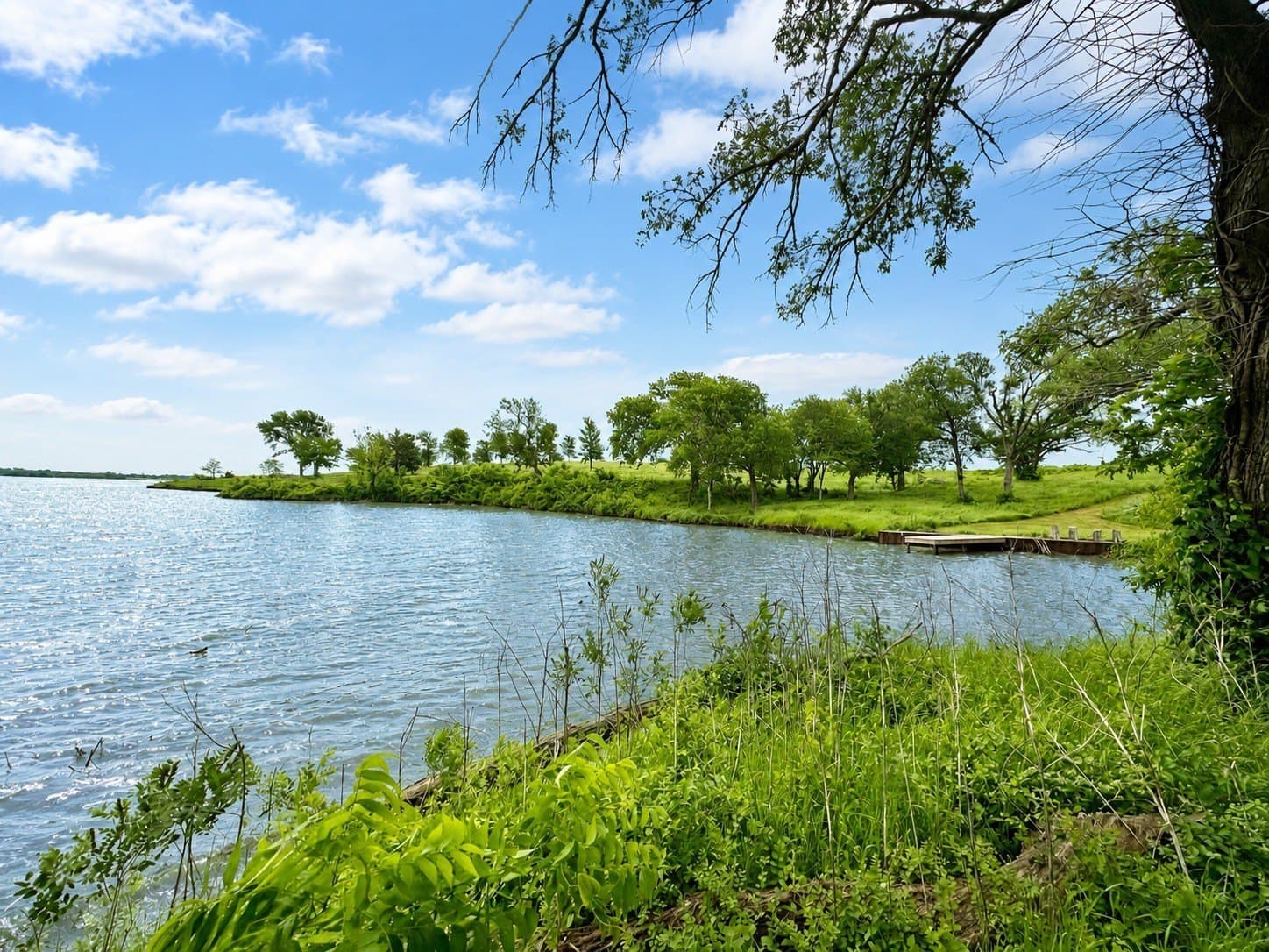 1.38 acres in Navarro County - photo 8