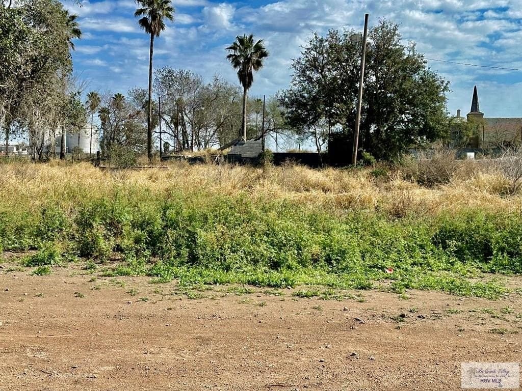 13.8 acres in HIDALGO County featured view