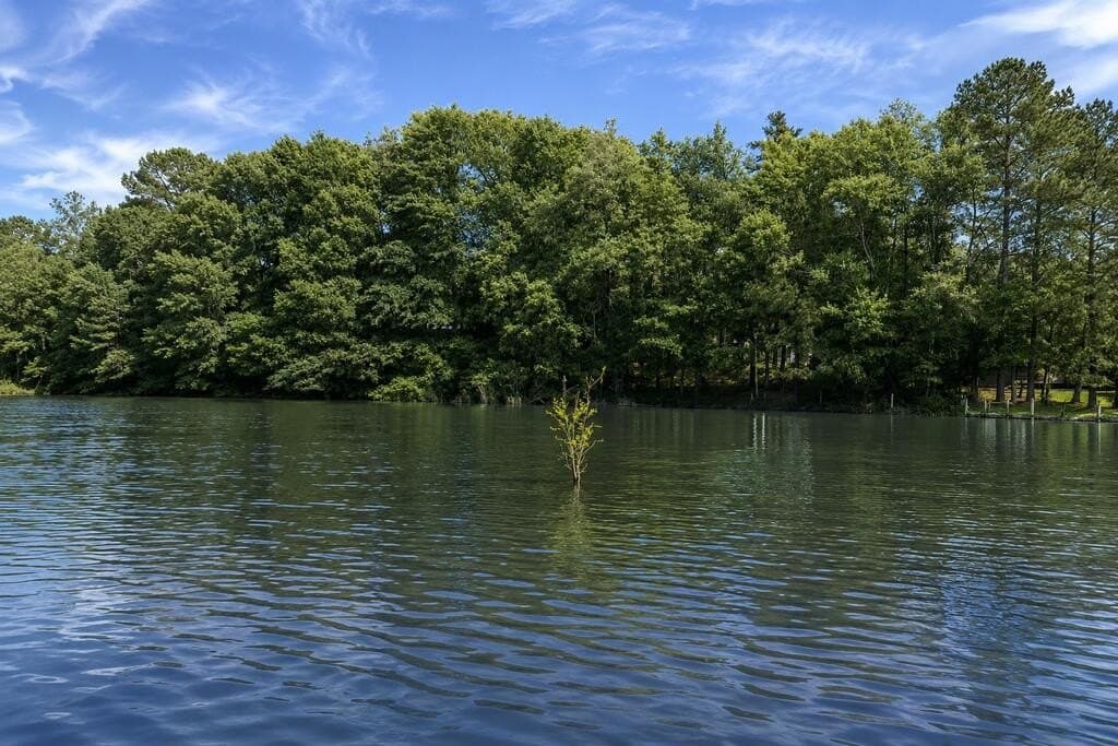 0.4 acres in Texas County - photo 12