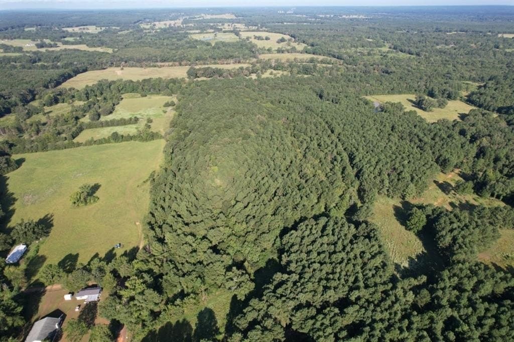 48 acres in Panola County gallery image 2