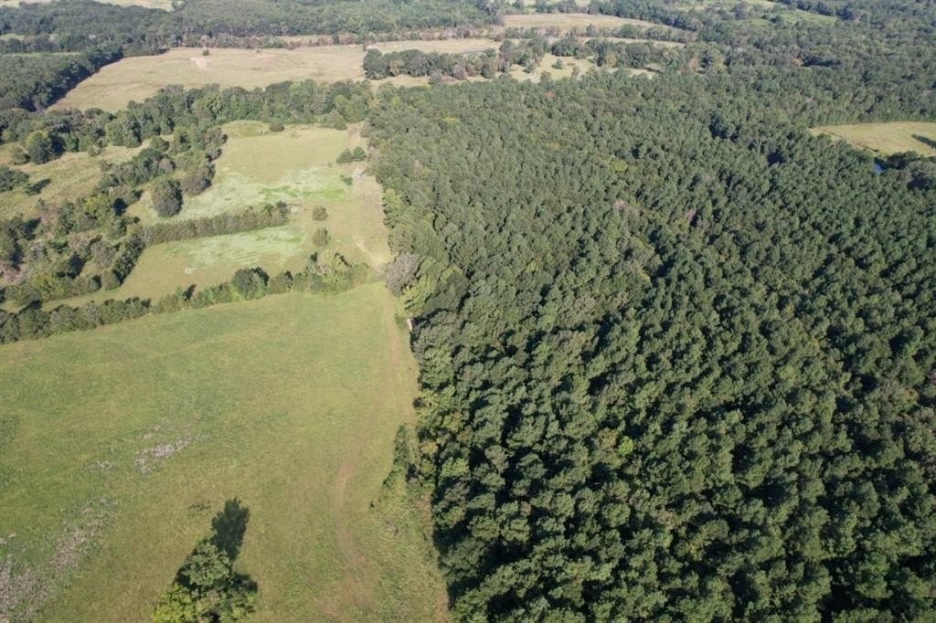 48 acres in Panola County featured view