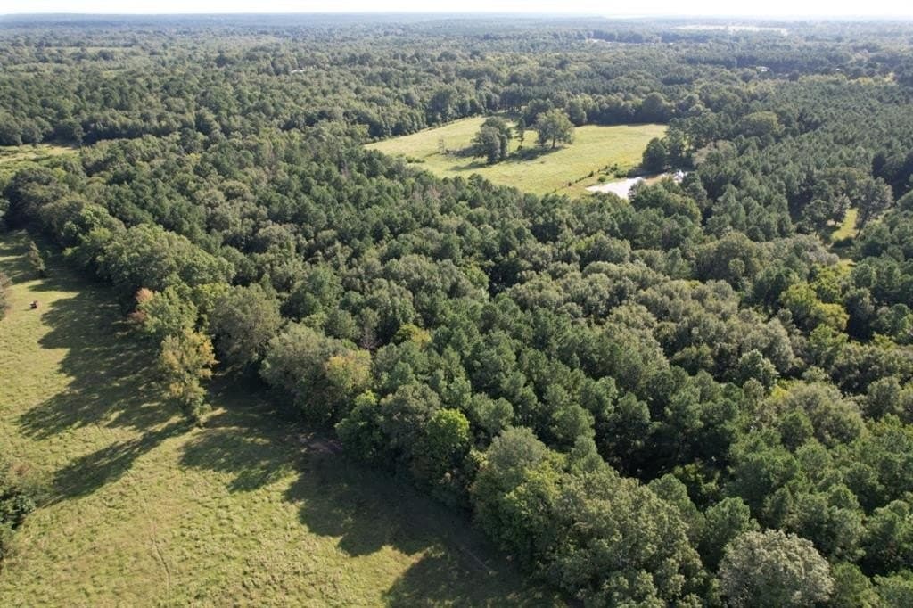 48 acres in Panola County