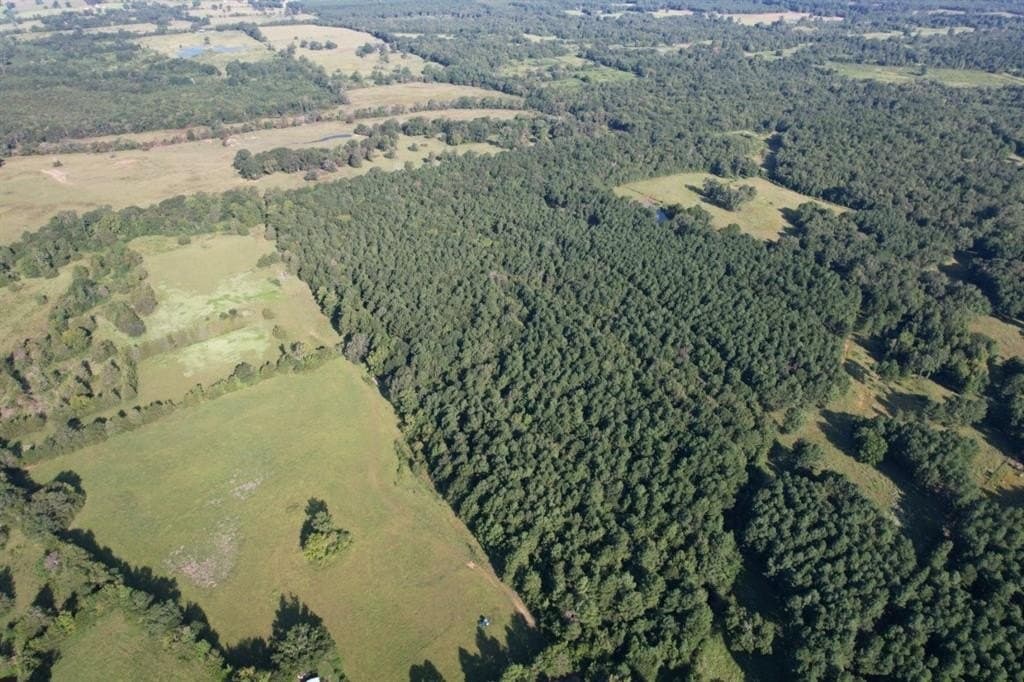 48 acres in Panola County gallery image 4