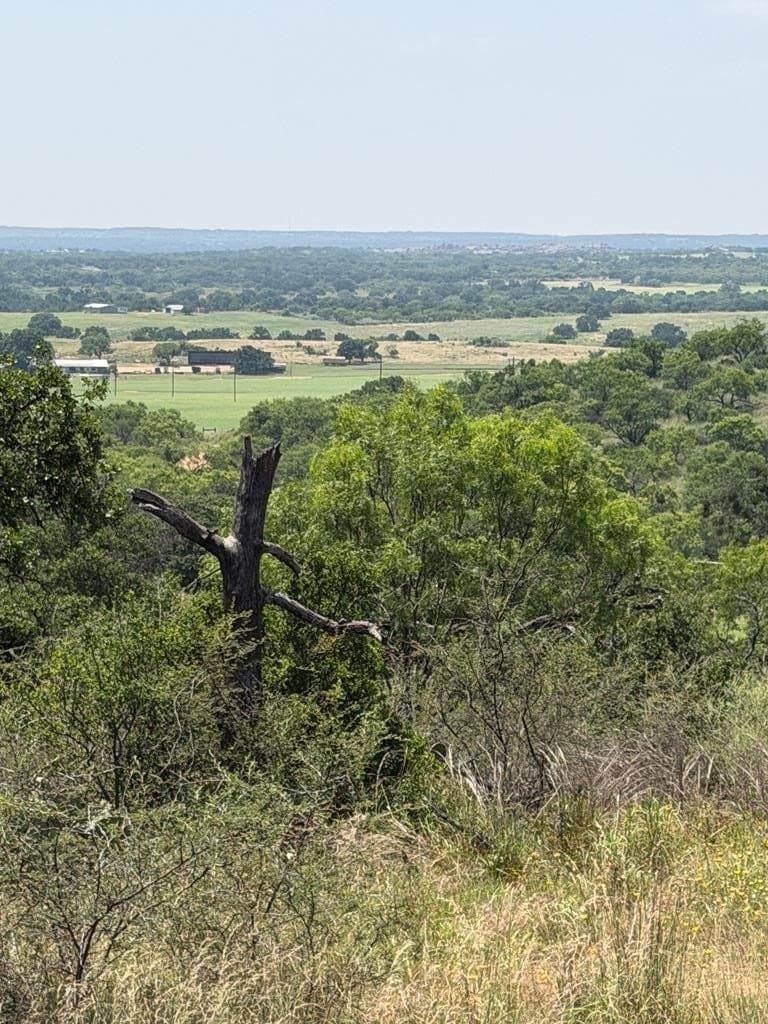 25.1 acres in Mason County