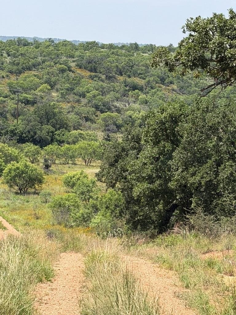 25.1 acres in Mason County gallery image 2