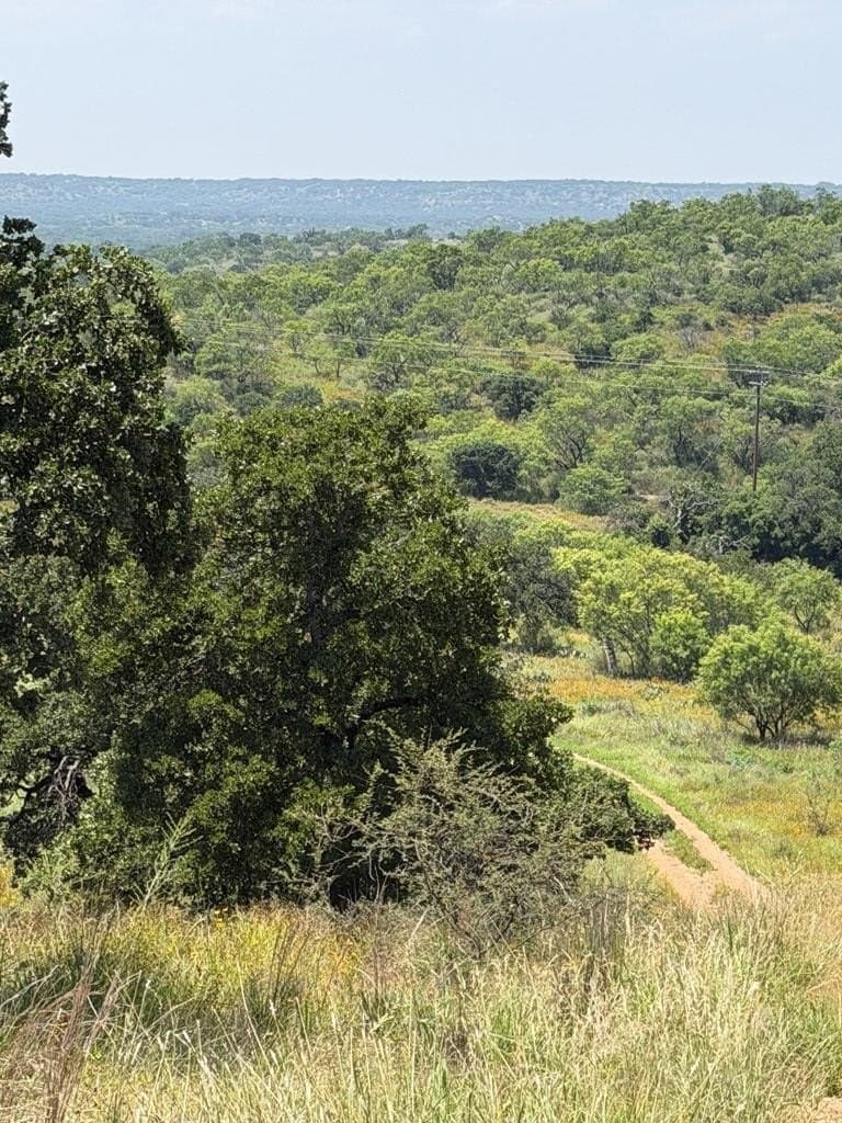 25.1 acres in Mason County gallery image 3