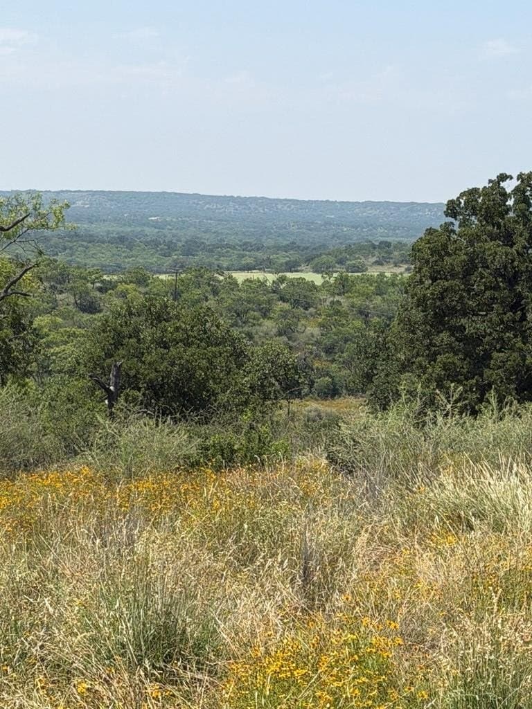 25.1 acres in Mason County gallery image 4