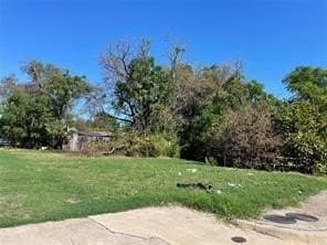 0.14 acres in Dallas County gallery image 3