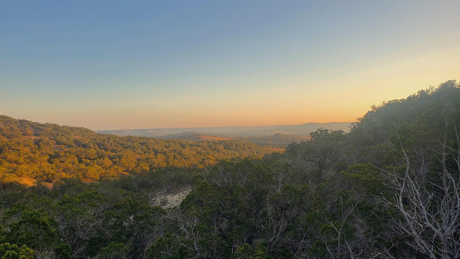395 acres in Blanco County gallery image 2