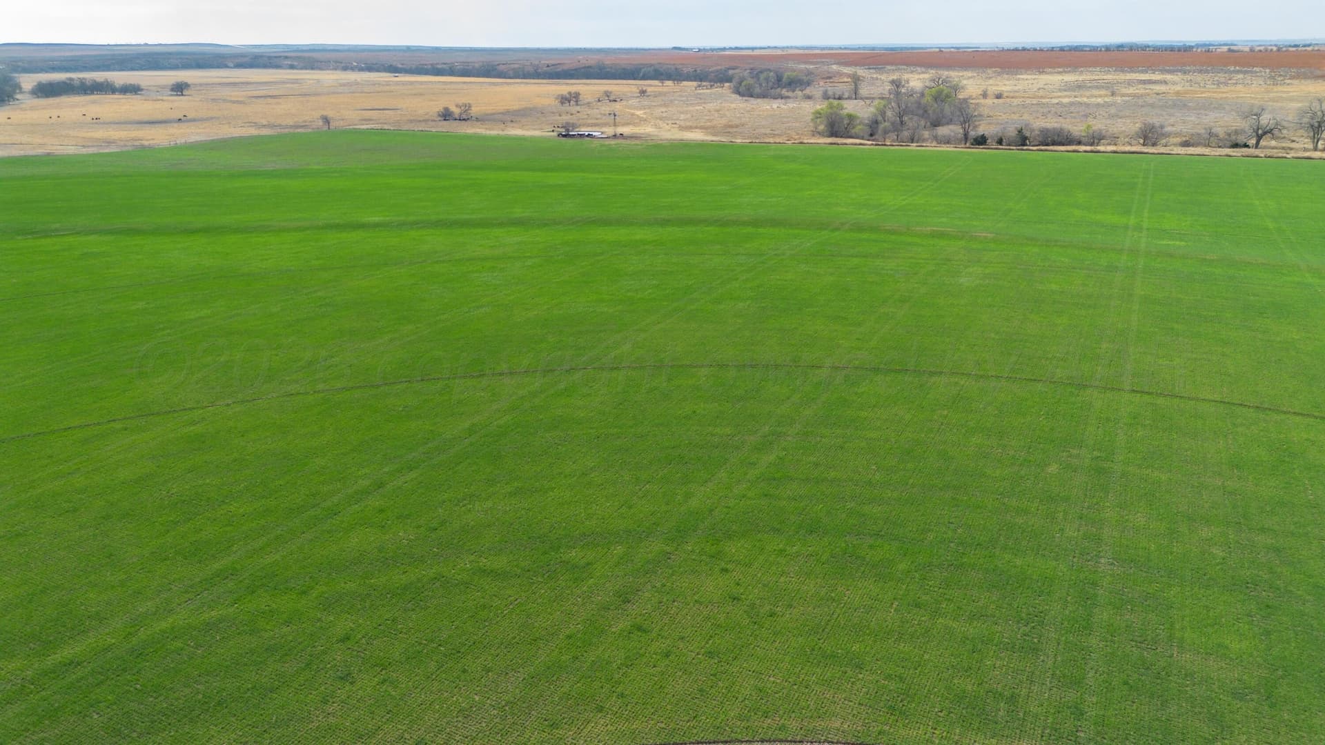 651.6 acres in Wheeler County featured view