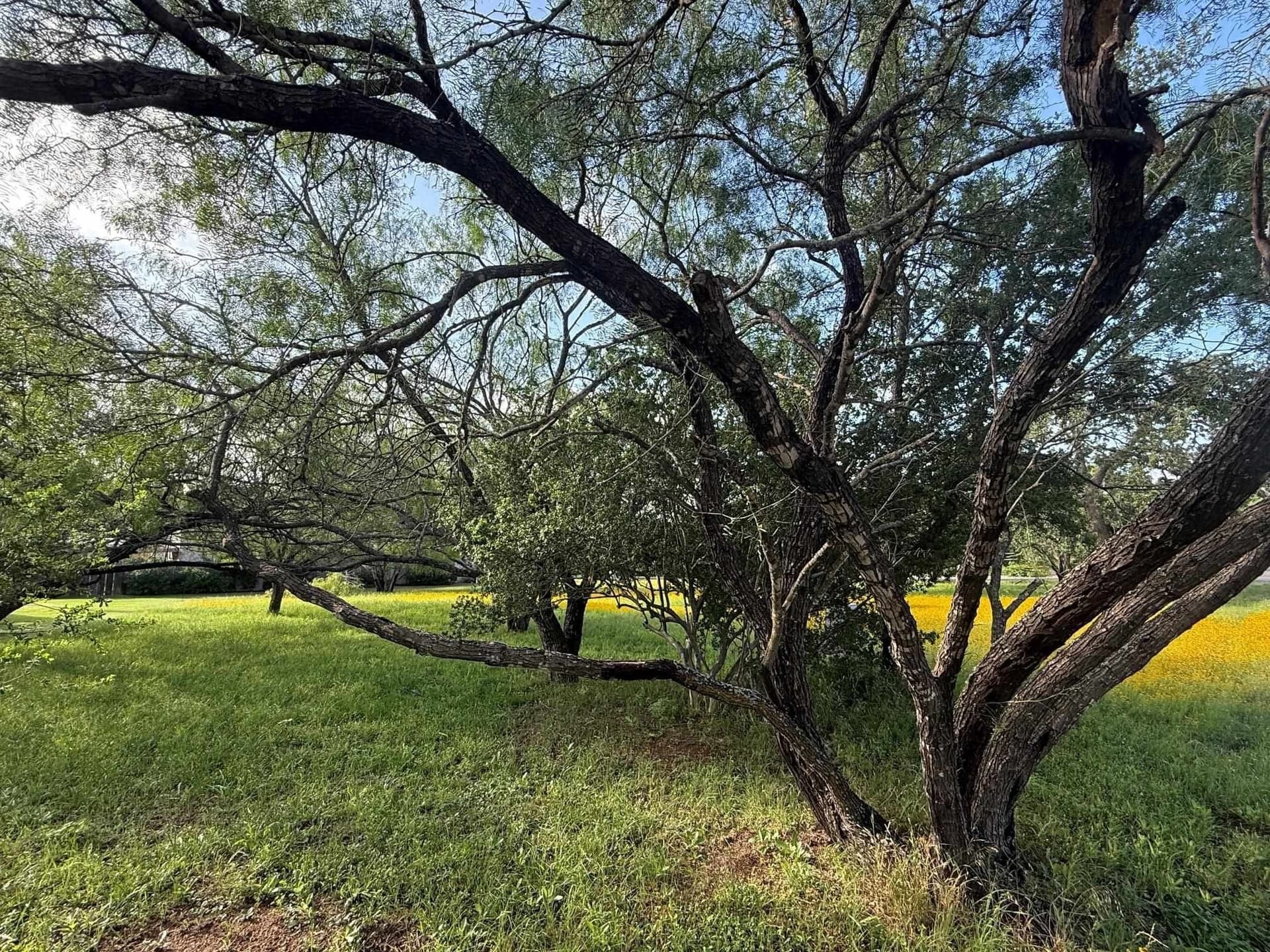 0.11 acres in Llano County gallery image 3