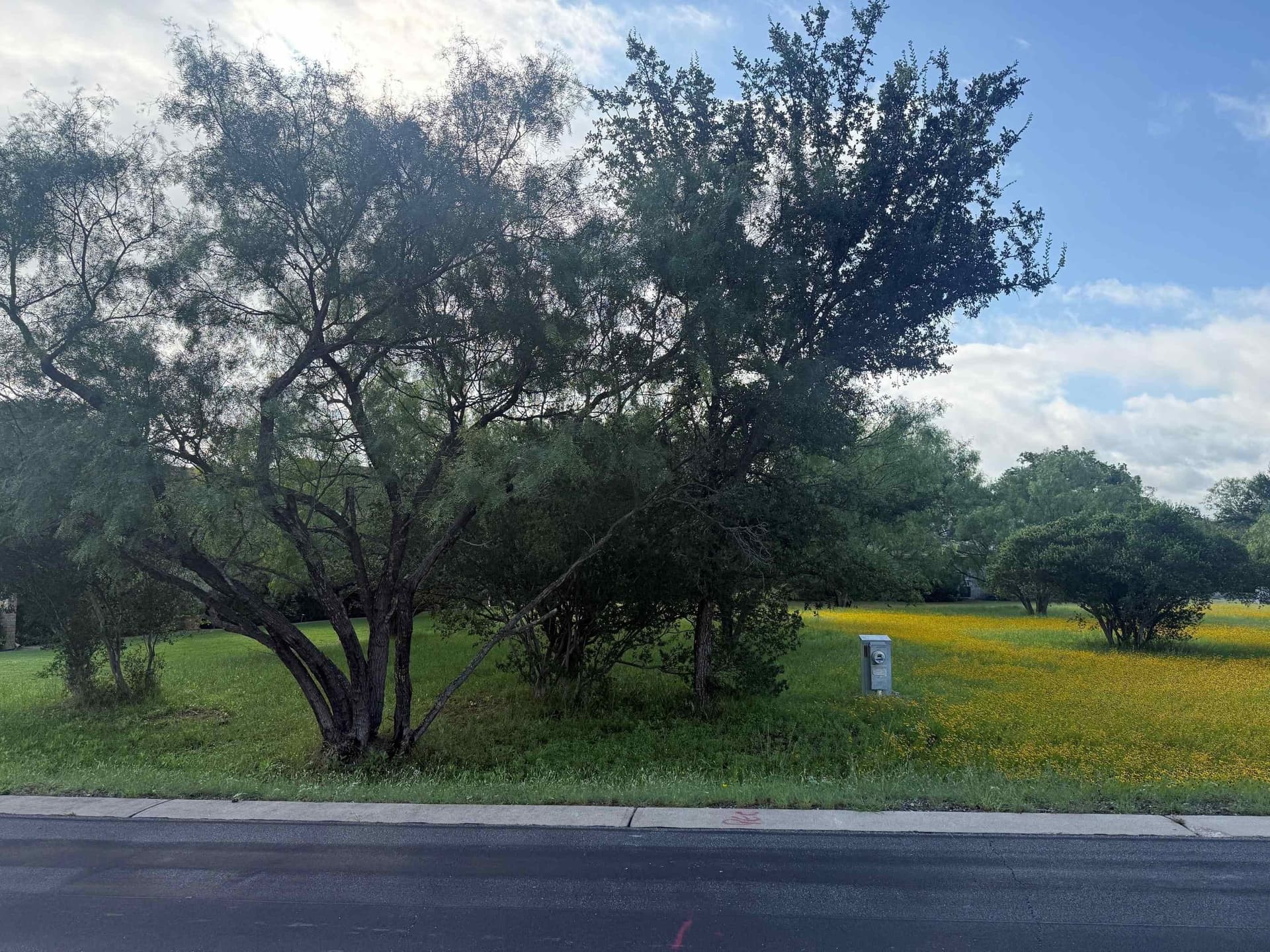 0.11 acres in Llano County gallery image 4