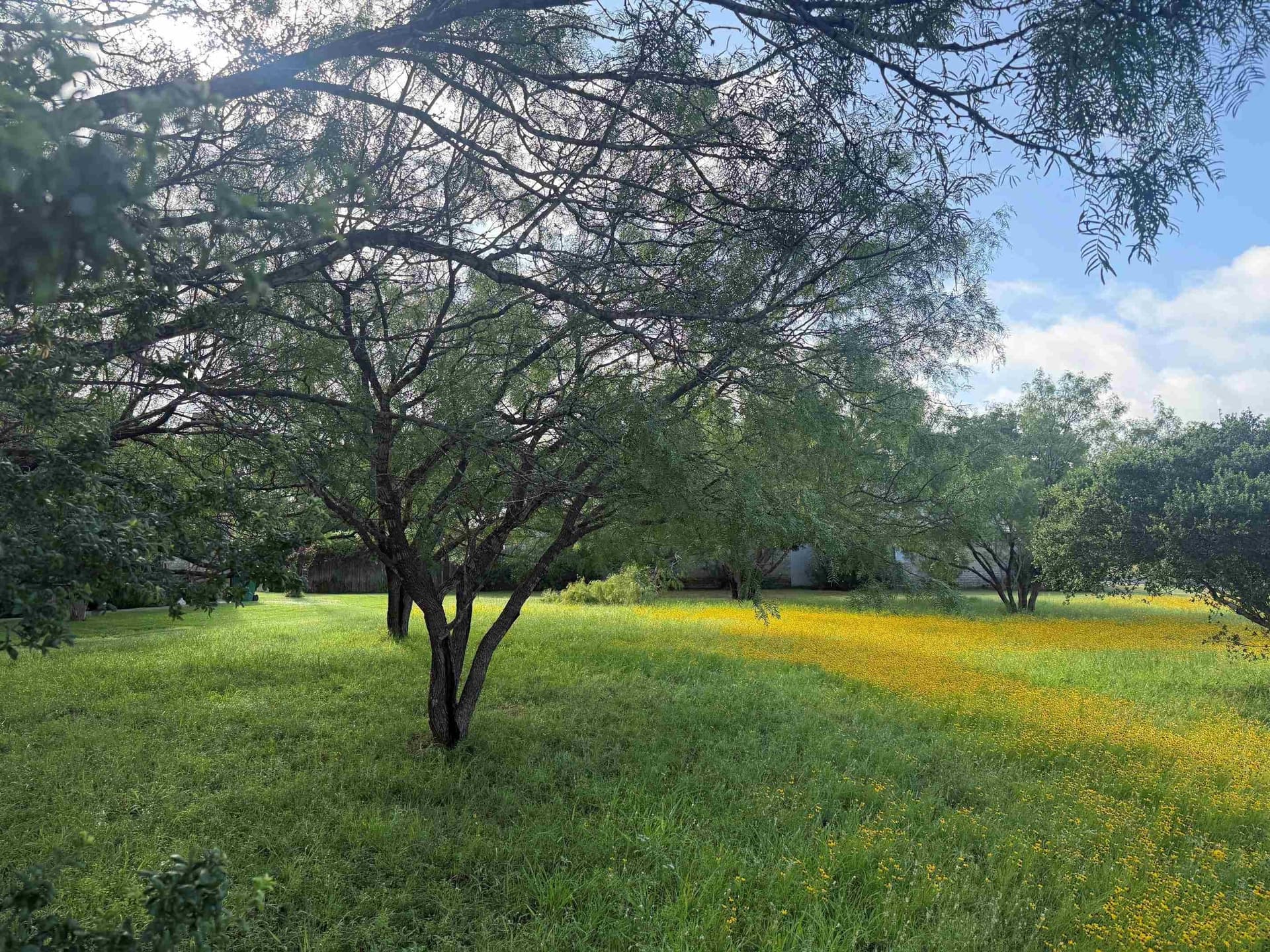 0.11 acres in Llano County gallery image 2