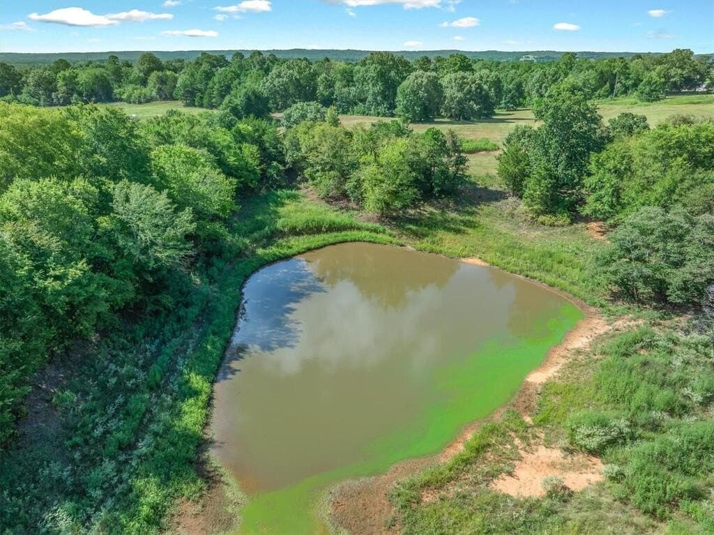 56.65 acres in Henderson County - photo 18