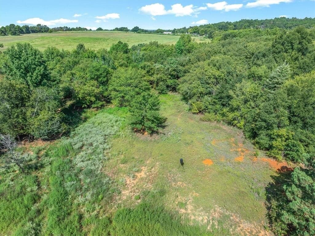 56.65 acres in Henderson County - photo 17