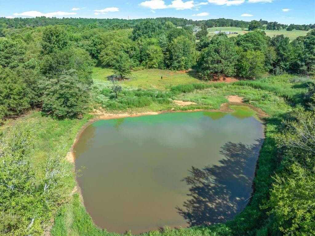 56.65 acres in Henderson County - photo 16