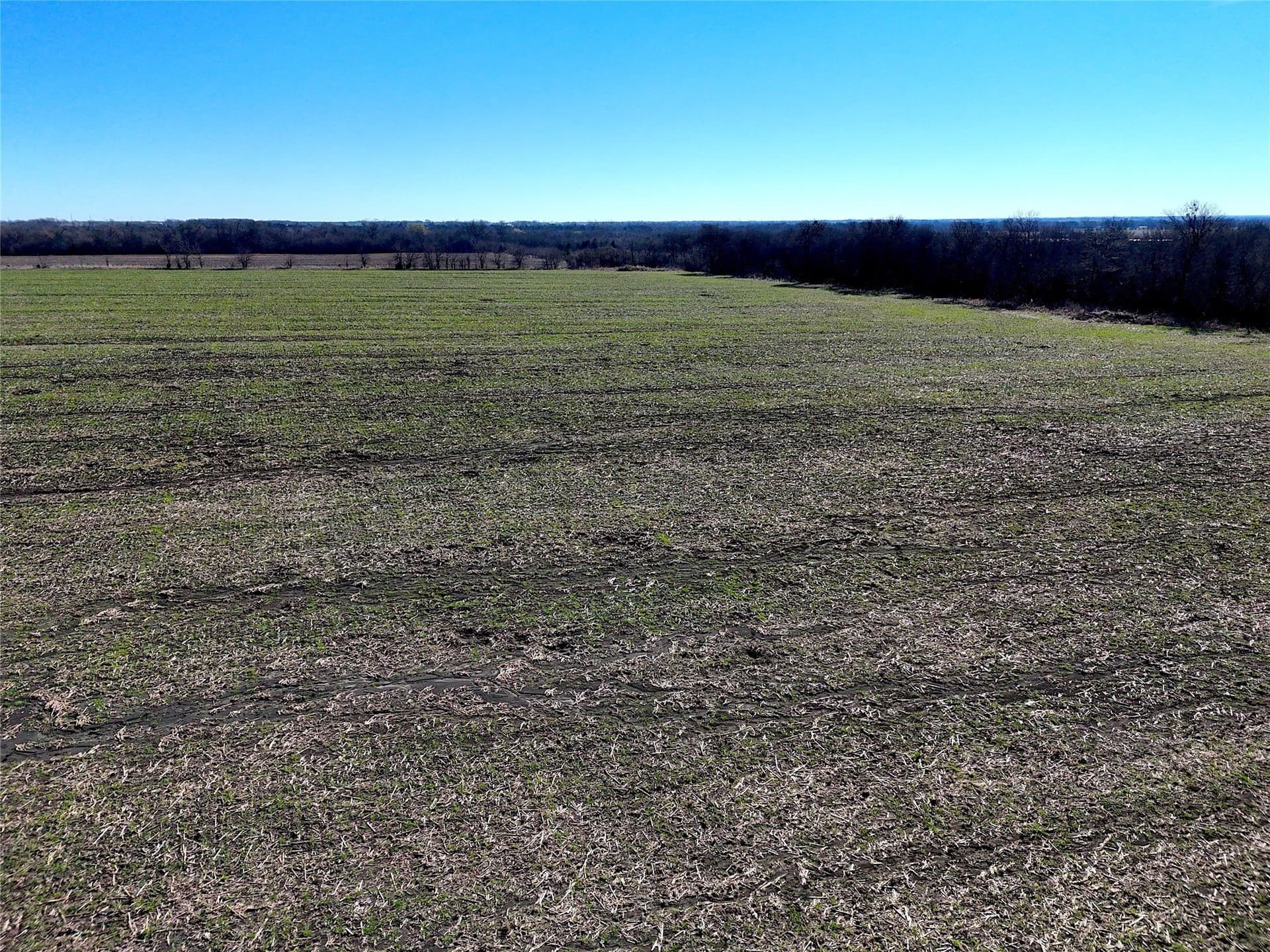 15 acres in Delta County featured view