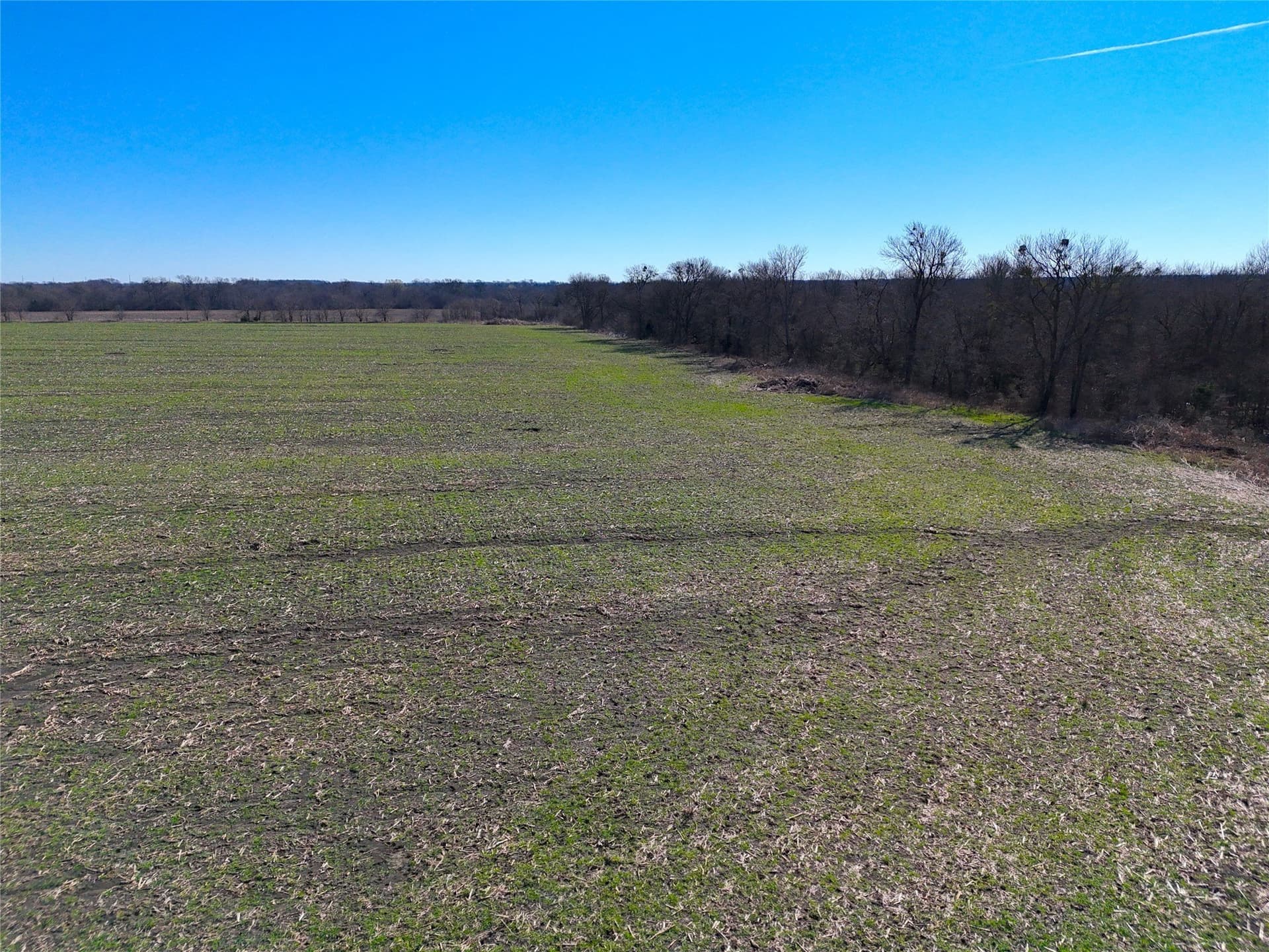 15 acres in Delta County gallery image 3