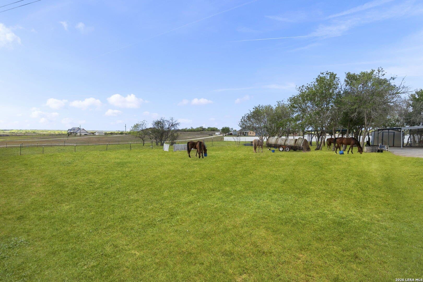 2.28 acres in Guadalupe County gallery image 3