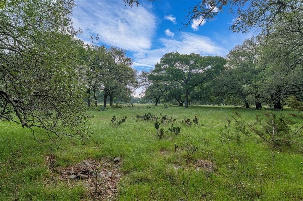 5.5 acres in Coryell County gallery image 4