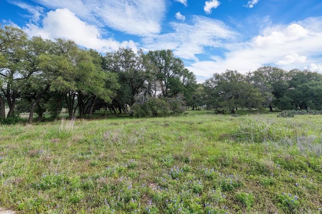 5.5 acres in Coryell County gallery image 3