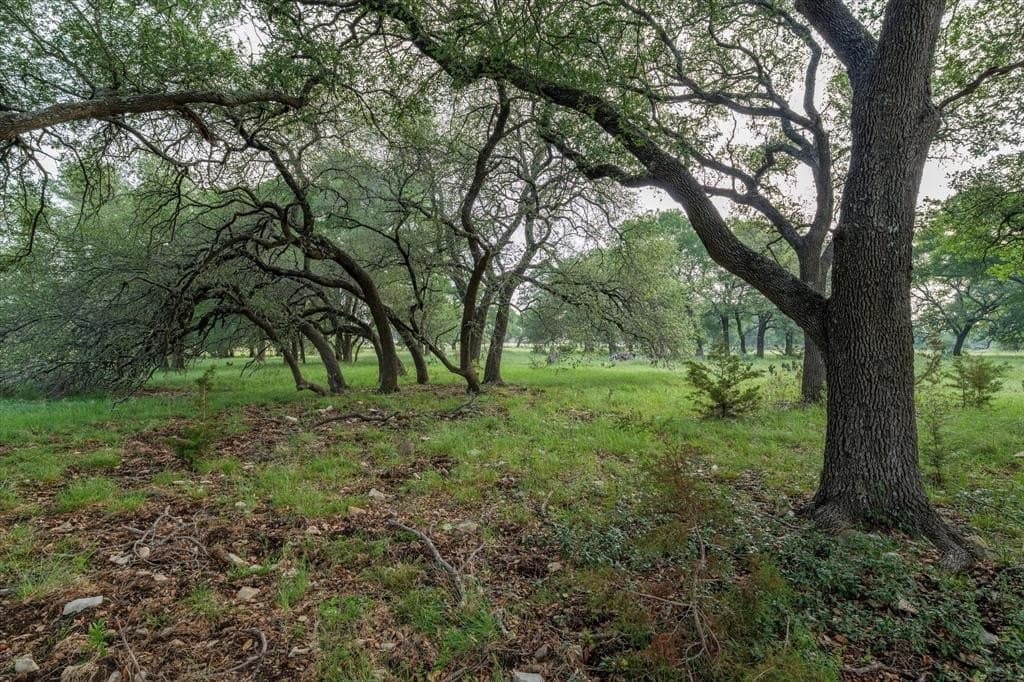 5.5 acres in Coryell County gallery image 2