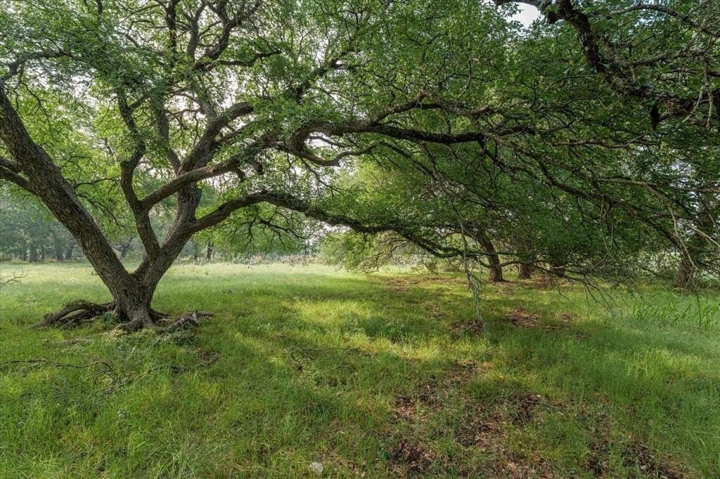 5.5 acres in Coryell County