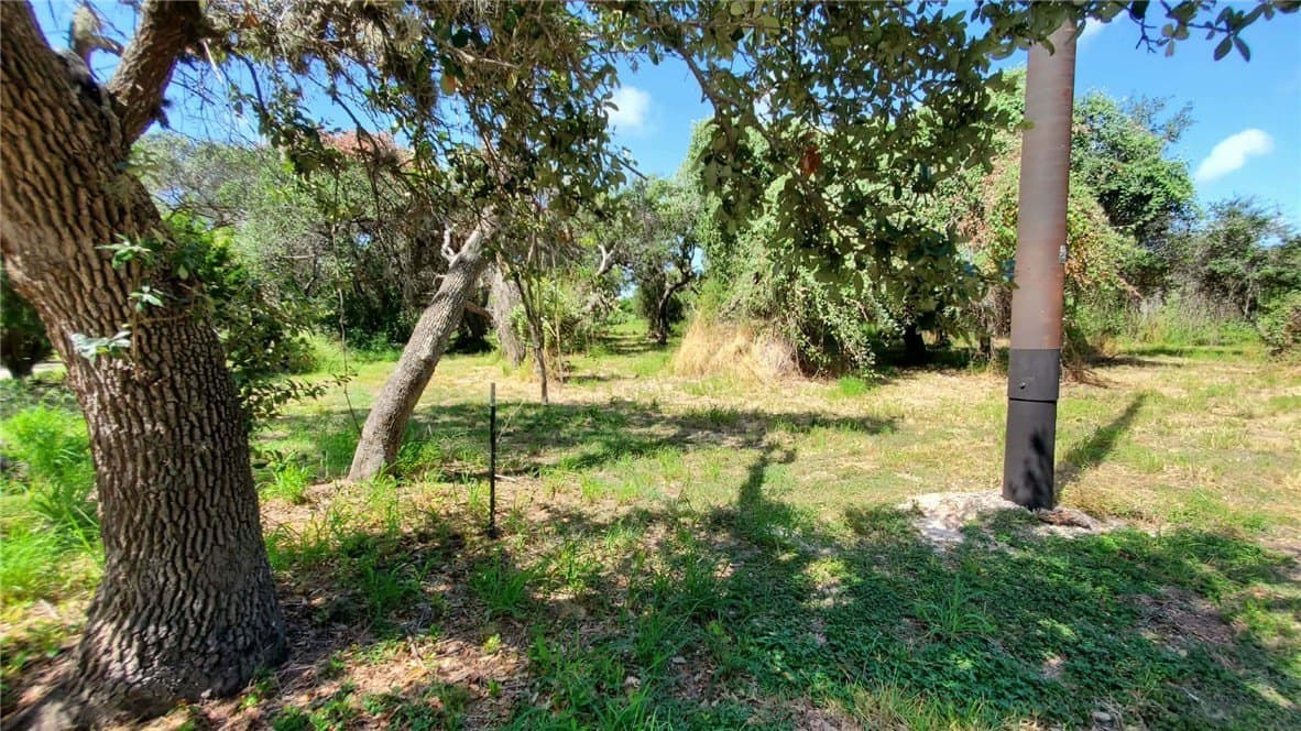 0.45 acres in San Patricio County - photo 2