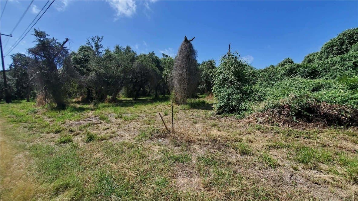 0.45 acres in San Patricio County - photo 3