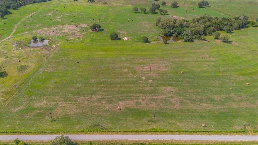 12.09 acres in Bastrop County gallery image 2
