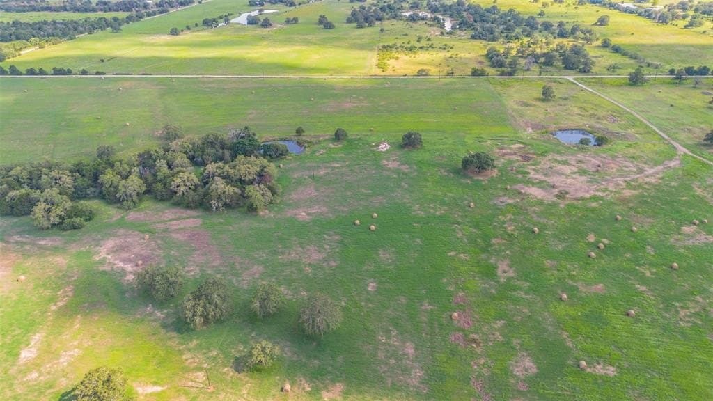 12.09 acres in Bastrop County gallery image 3