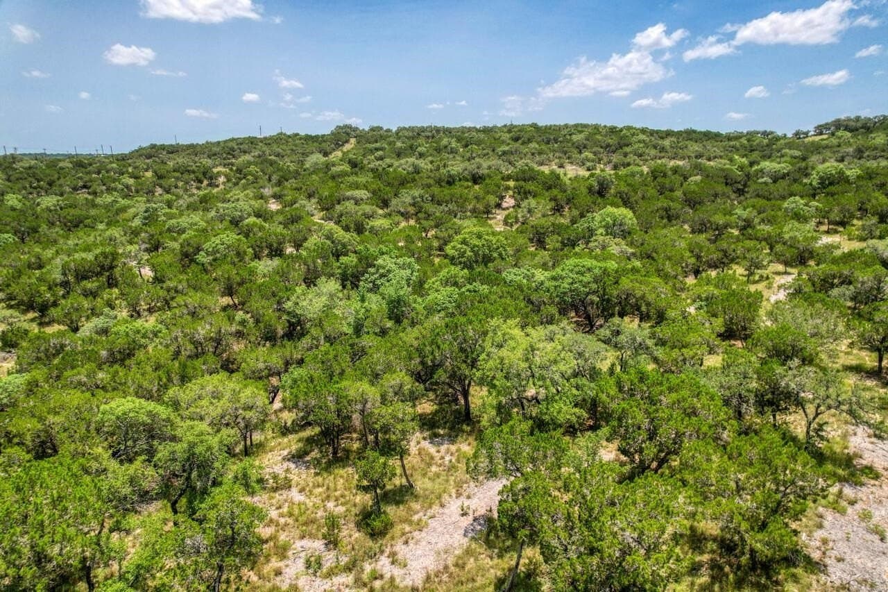 83.08 acres in Travis County - photo 33