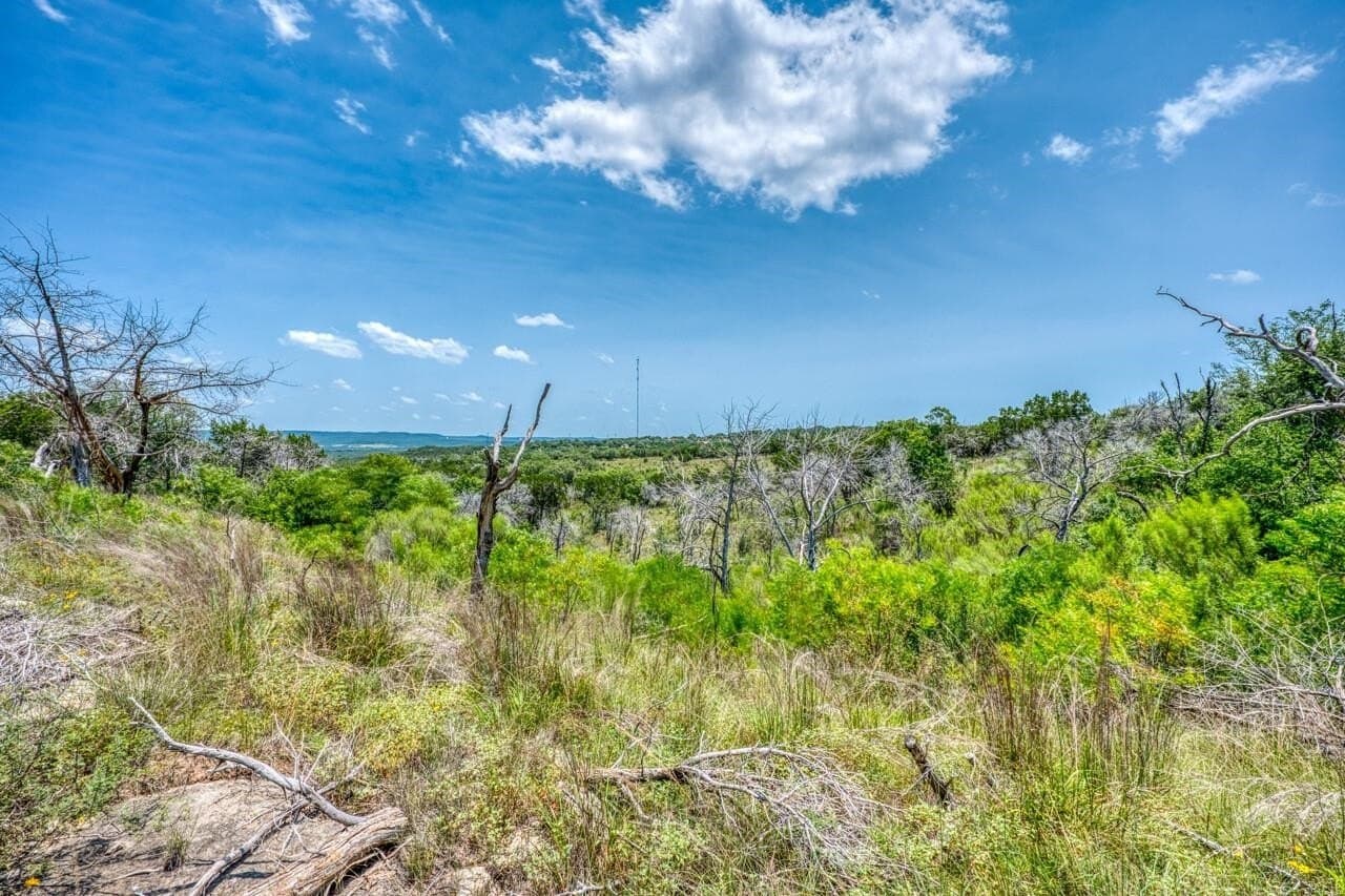 83.08 acres in Travis County - photo 29