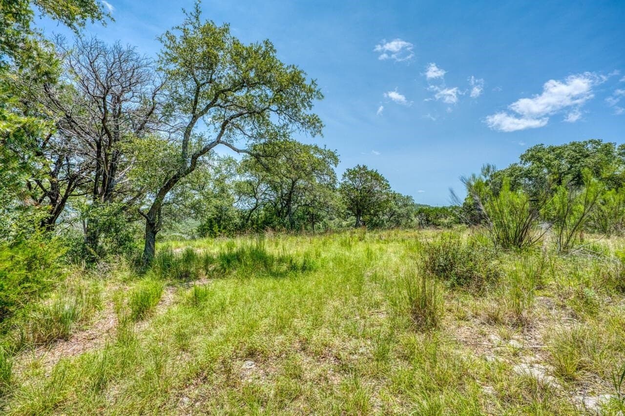 83.08 acres in Travis County gallery image 3