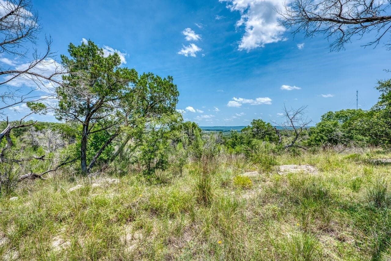 83.08 acres in Travis County gallery image 4
